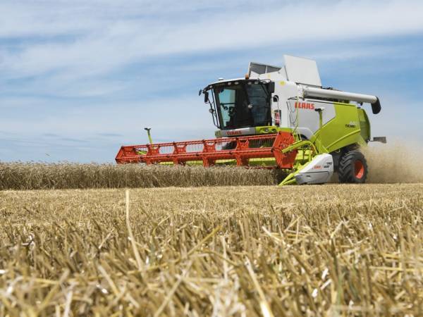 Зерноуборочный комбайн Claas Tucano 470
