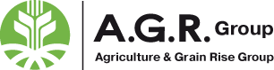 logo (1)